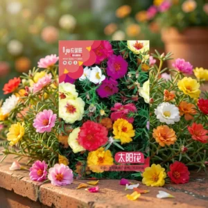 ৬/৭ কালারের পোর্তুলিকা (Mixed Portulaca / টাইম ফুল)