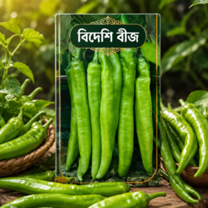 বিদেশি সবুজ লম্বা মরিচের বীজ