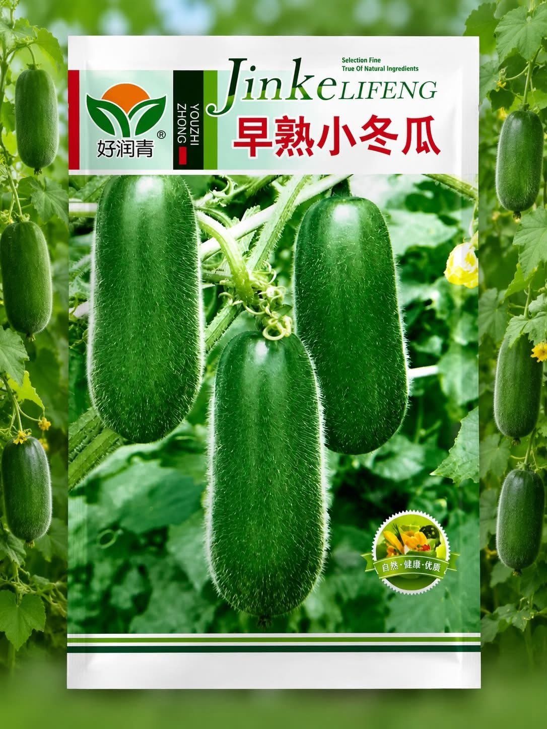 বিদেশি চালকুমড়ার বীজ