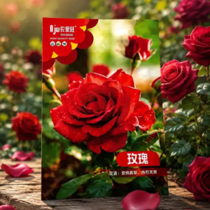 🌹 লাল গোলাপ ফুলের বীজ